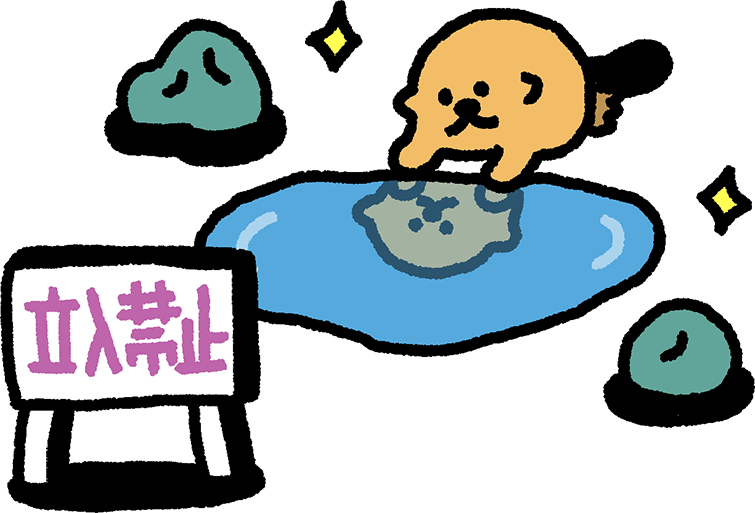 水たまりを覗くラッコのイラスト